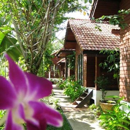 Phu Aroon Guesthouse Sukhothai Værelse billede